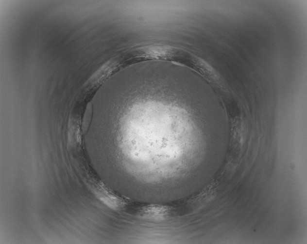 X0000078890313200611271359