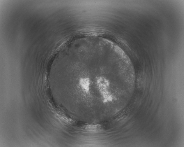 X0000078890314200611271359