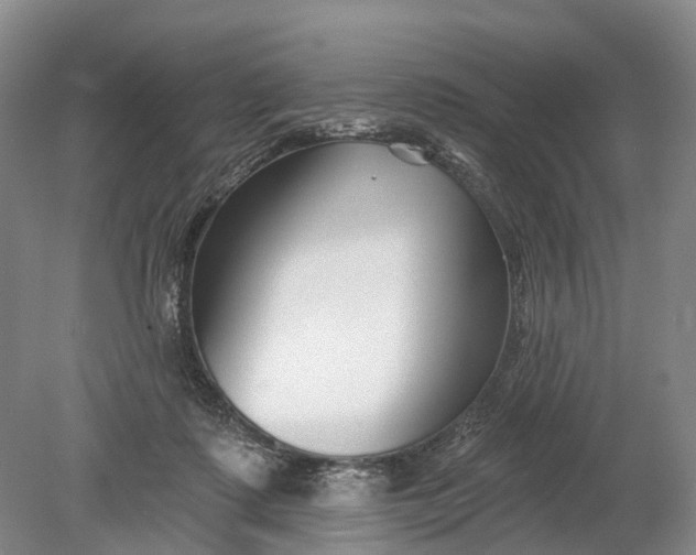 X0000078890315200611271359