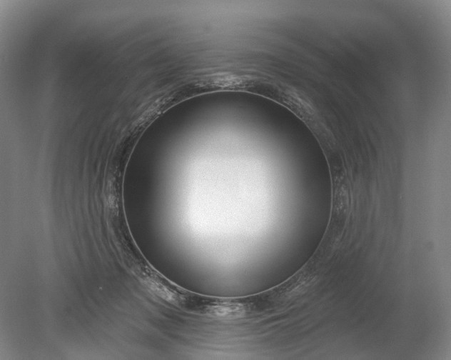 X0000078890317200611271359