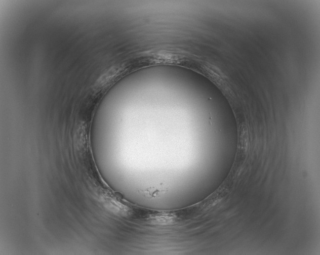 X0000078890318200611271359