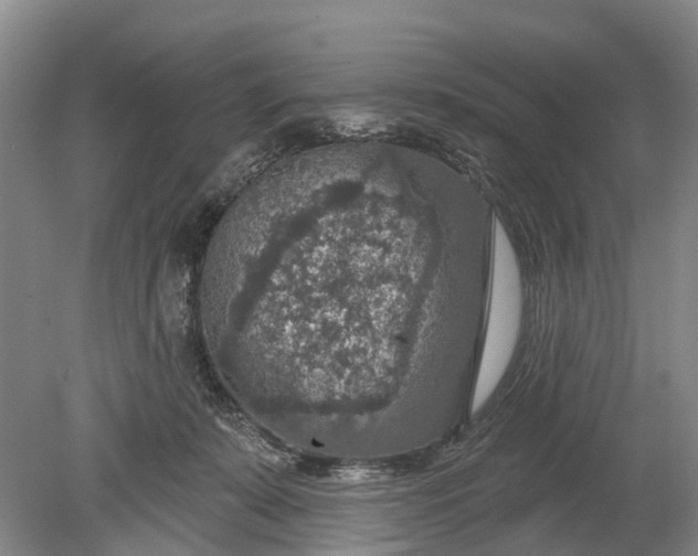 X0000078890319200611271359