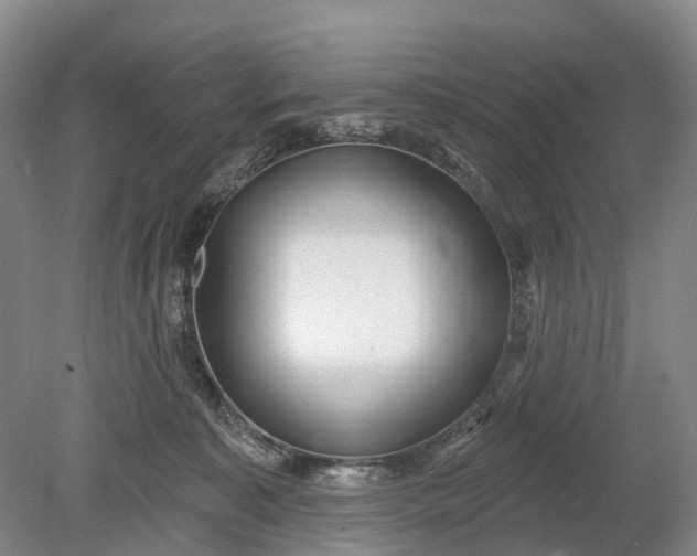 X0000078890323200611271359