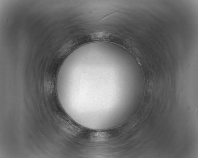 X0000078890324200611271359