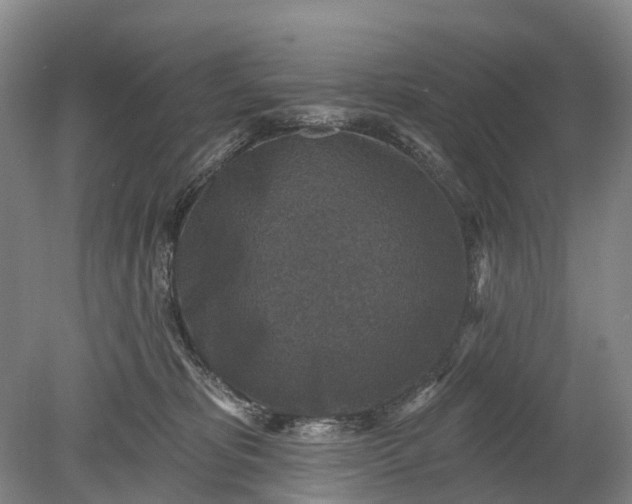 X0000078890325200611271359