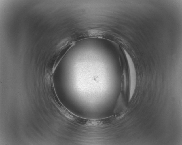 X0000078890329200611271359