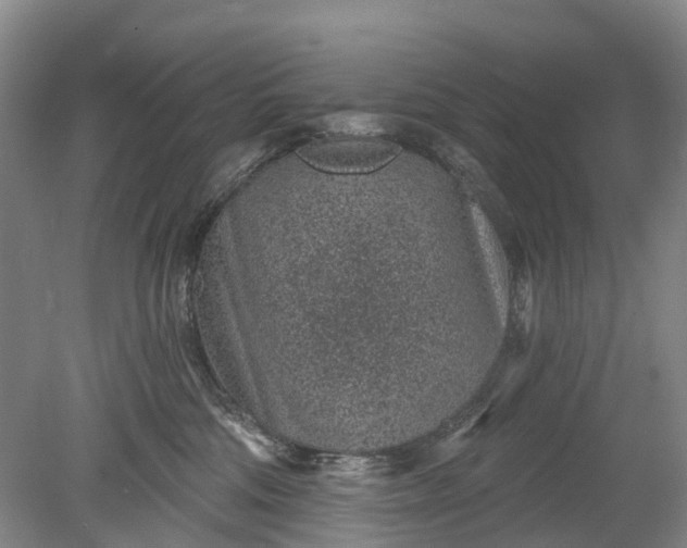 X0000078890330200611271359