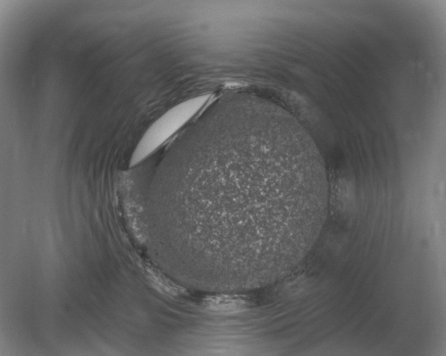 X0000078890331200611271359