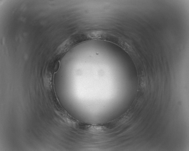 X0000078890332200611271359