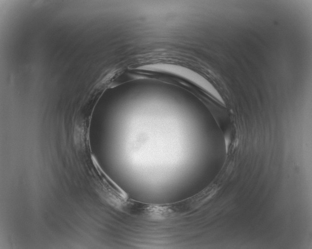 X0000078890333200611271359