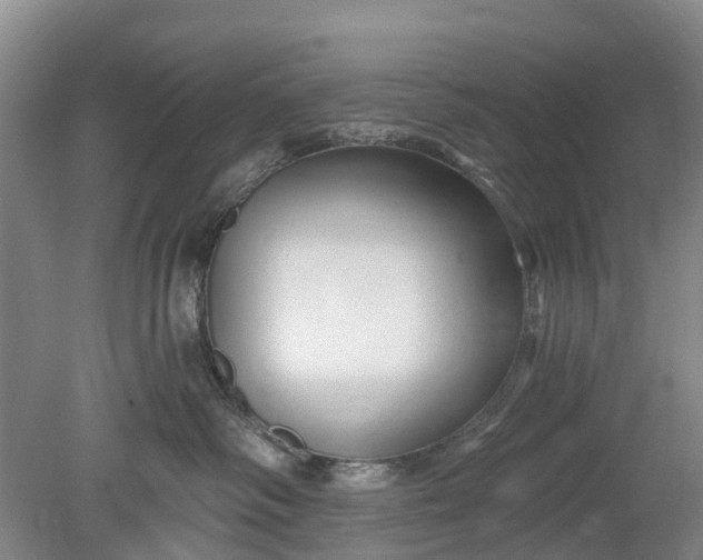 X0000078890334200611271359