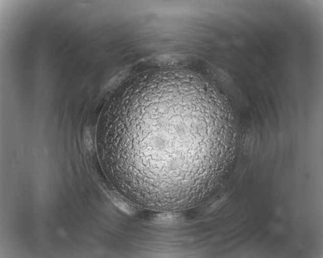 X0000078890335200611271359