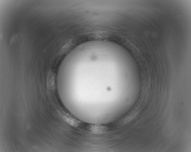 X0000078890336200611271359