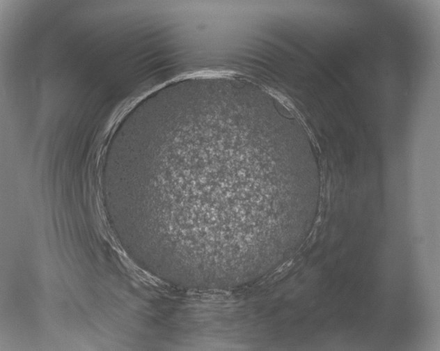 X0000078890337200611271358