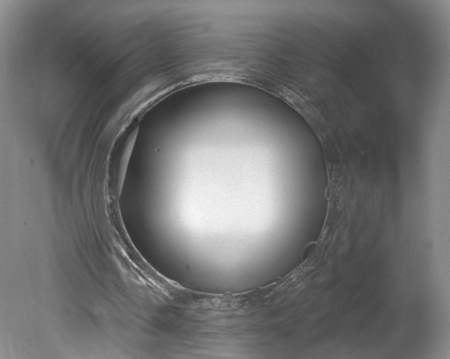 X0000078890338200611271358