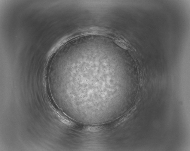 X0000078890341200611271358