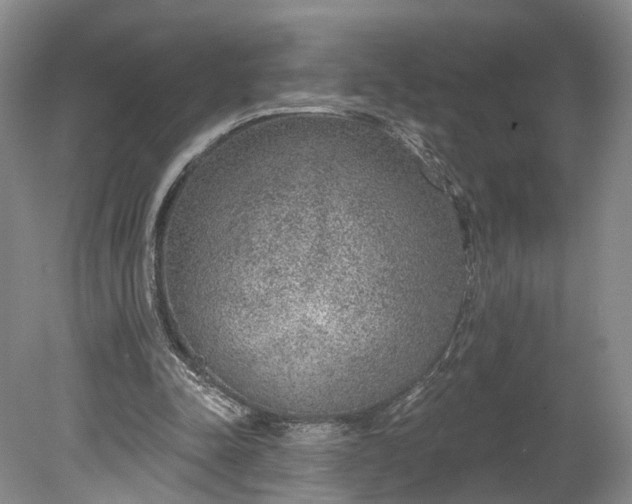 X0000078890342200611271358