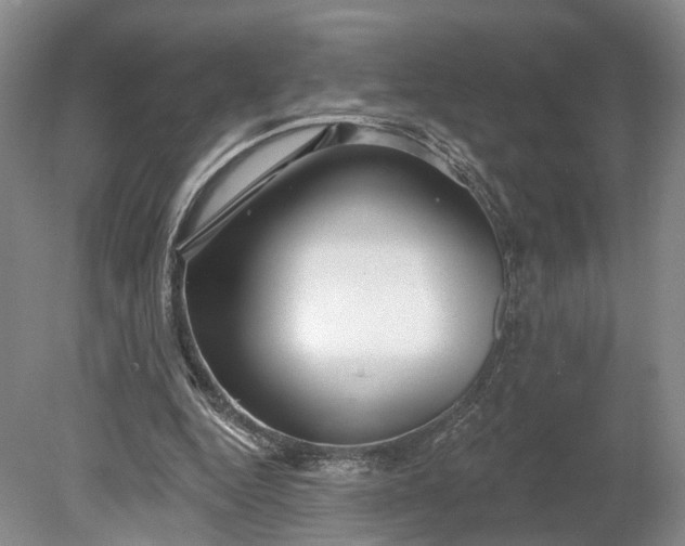 X0000078890344200611271358