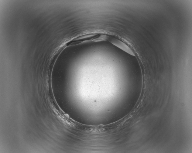 X0000078890345200611271358