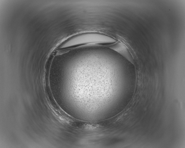 X0000078890346200611271358