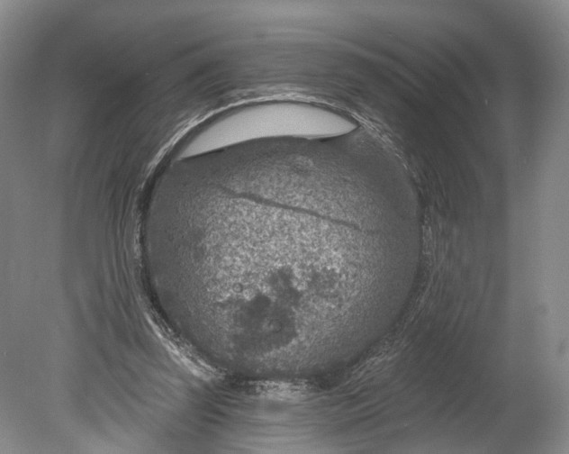 X0000078890347200611271358