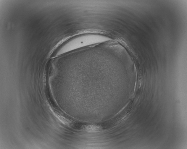 X0000078890348200611271358