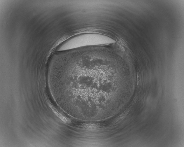 X0000078890349200611271358