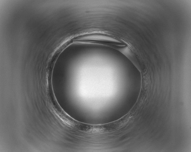 X0000078890350200611271358