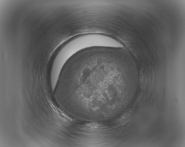 X0000078890351200611271358