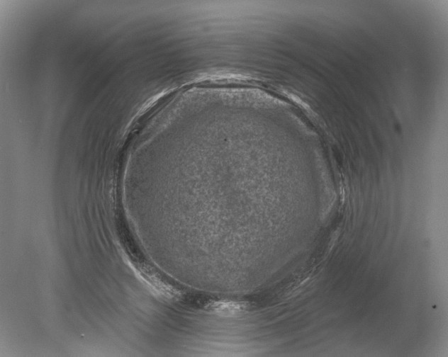 X0000078890352200611271358