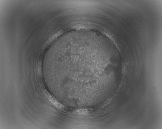 X0000078890353200611271358