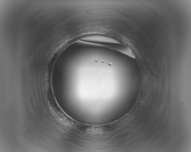 X0000078890354200611271358