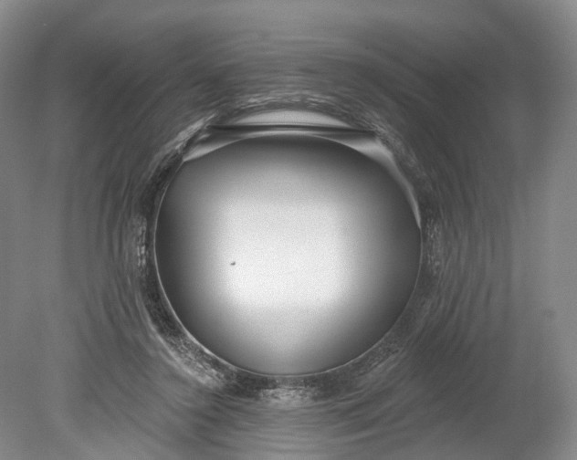 X0000078890356200611271358