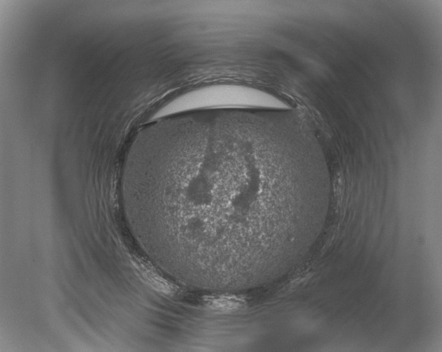 X0000078890359200611271358