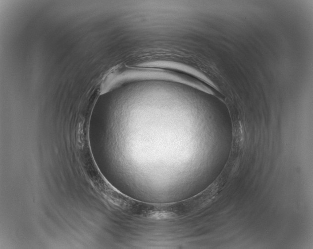 X0000078890360200611271358