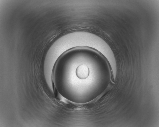 X0000078890364200611271359