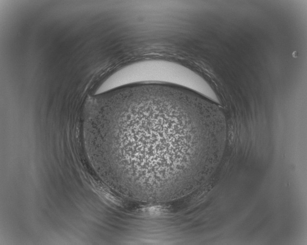 X0000078890365200611271359