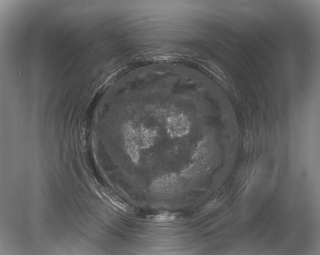 X0000078890366200611271359