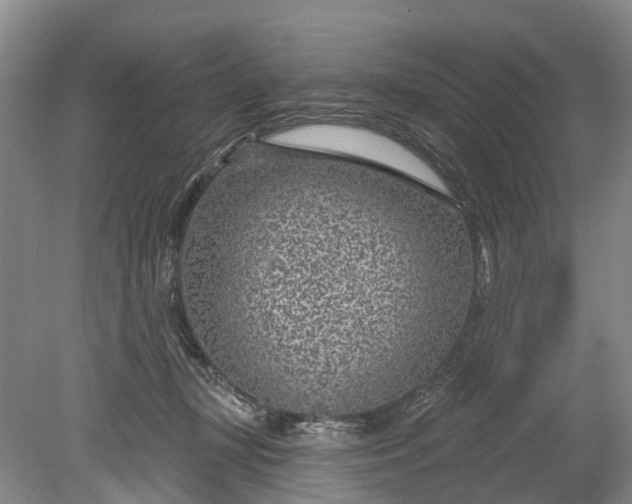 X0000078890367200611271359