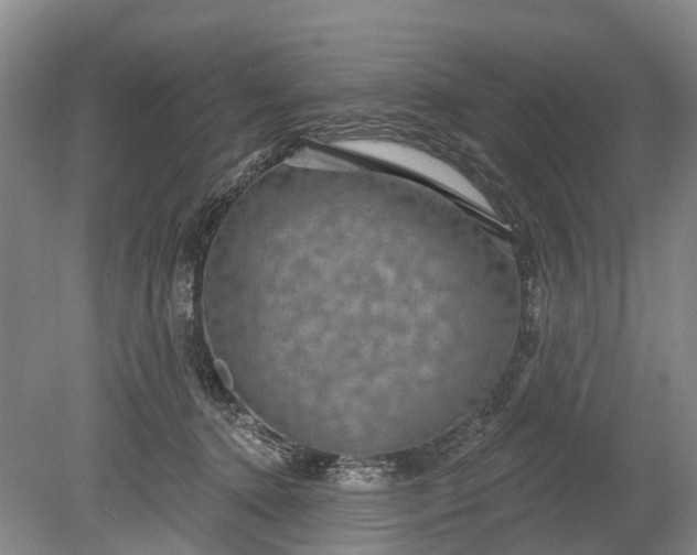 X0000078890368200611271359