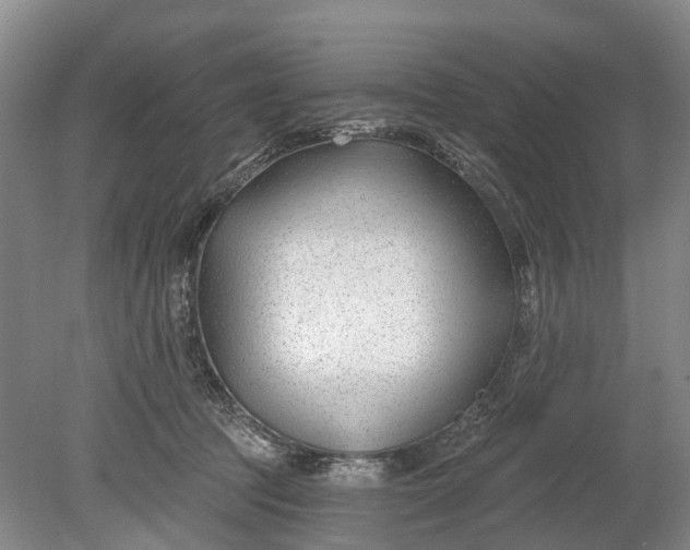 X0000078890369200611271359