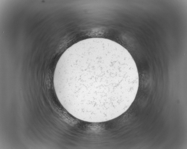 X0000078890370200611271359