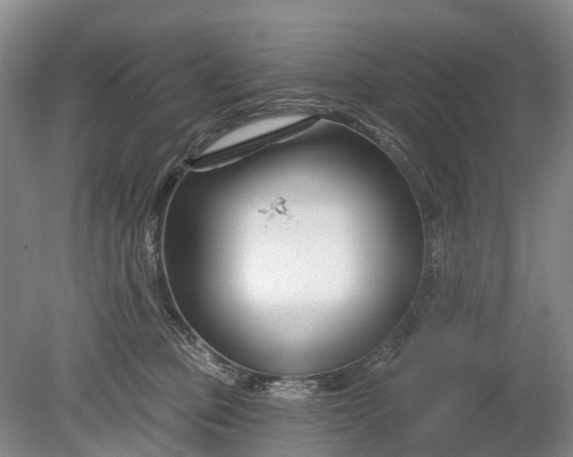 X0000078890373200611271359