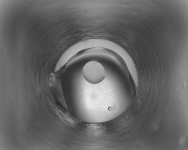 X0000078890380200611271359