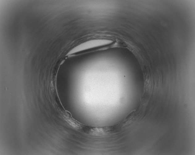 X0000078890381200611271359