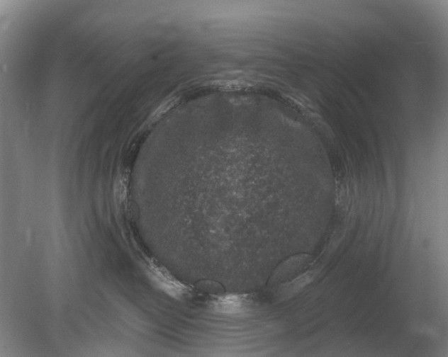 X0000078890382200611271359