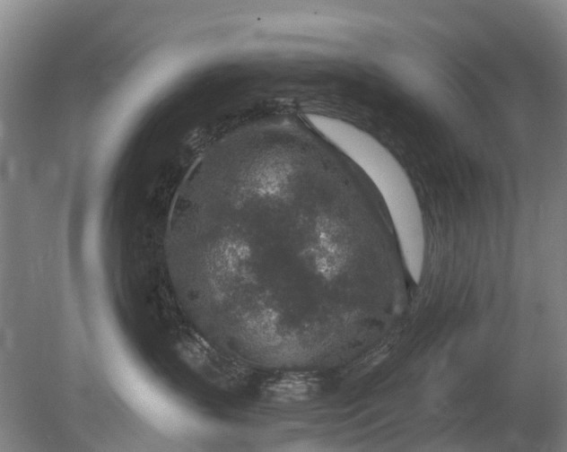 X0000078890383200611271359