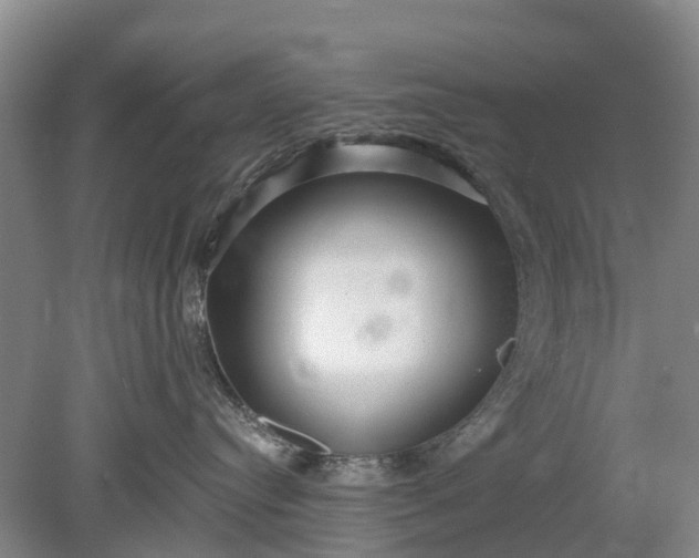 X0000078890384200611271359