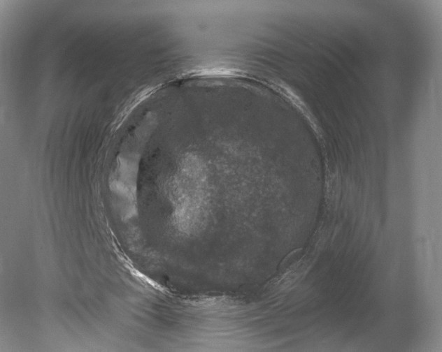 X0000078890385200611271358