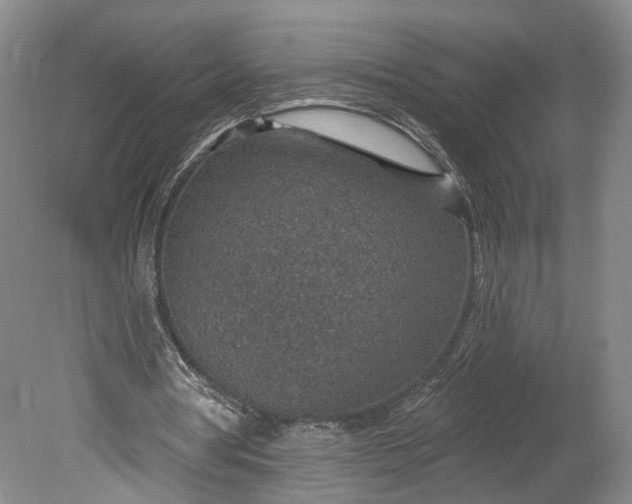 X0000078890386200611271358